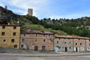 Soria trufera: paisaje y patrimonio