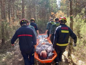 Los bomberos rescatan a dos personas en Urbión