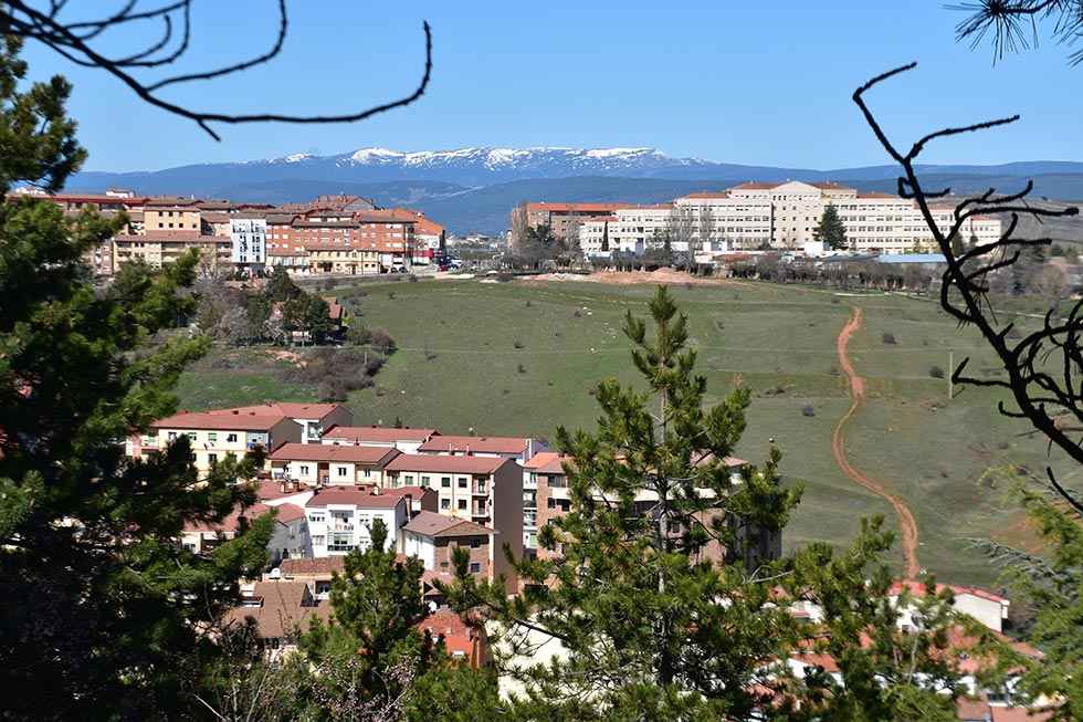 La primavera se asoma en Soria - fotos
