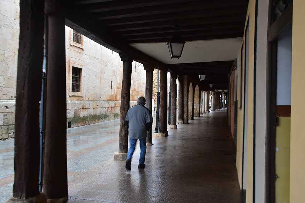 El PSOE resalta compromiso de Plan ante Reto Demográfico El PSOE resalta compromiso de Plan ante Reto Demográfico