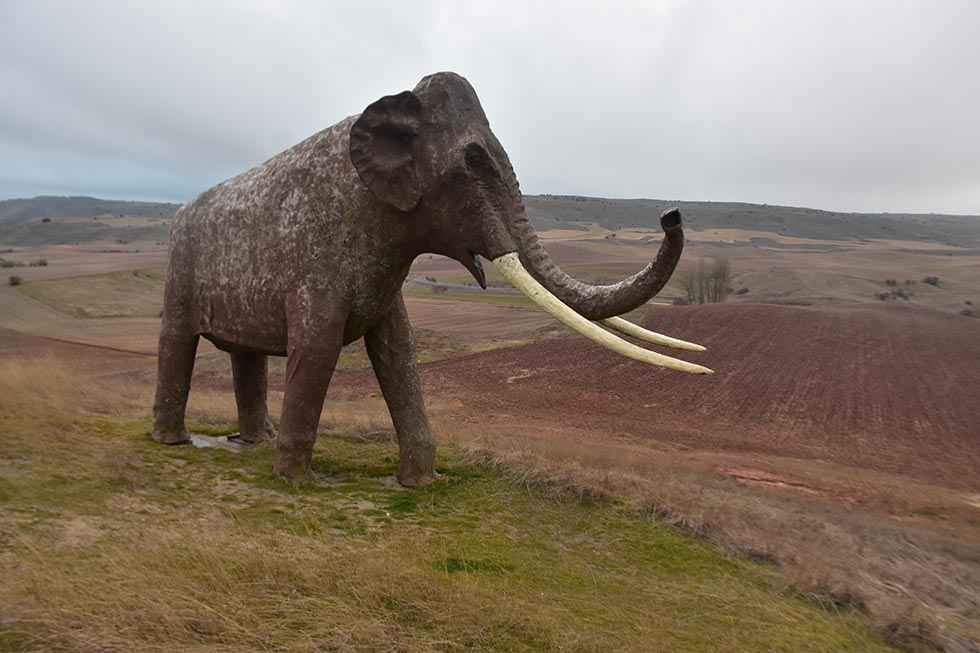 Museo de Ambrona - fotos