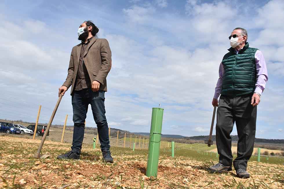 Villabuena: Soria Trufa Living Lab - fotos