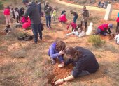 Plantación simbólica en el año de la pandemia