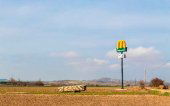 San Esteban de Gormaz aporta cereales a McDonald´s