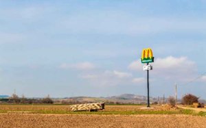 San Esteban de Gormaz aporta cereales a McDonald´s