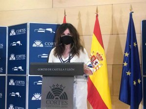 El PSOE solicita ajustes en comisiones de Cortes