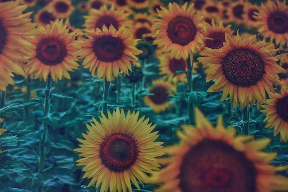 Exposición de Aroa Cobos, en Espacio Joven - fotos