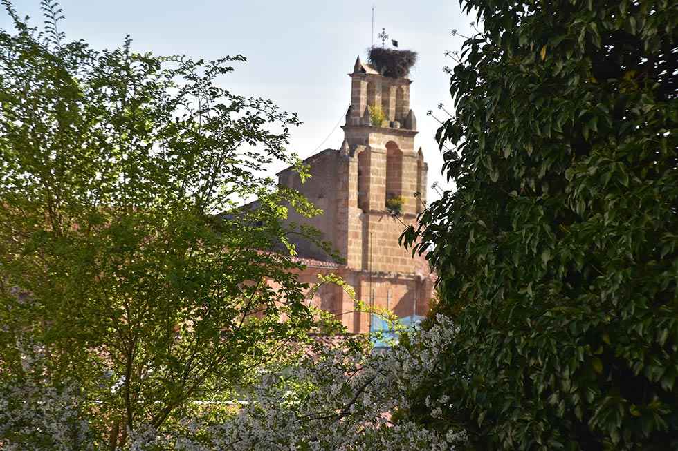 Estudio para gestión municipal del servicio de jardines Estudio para gestión municipal del servicio de jardines