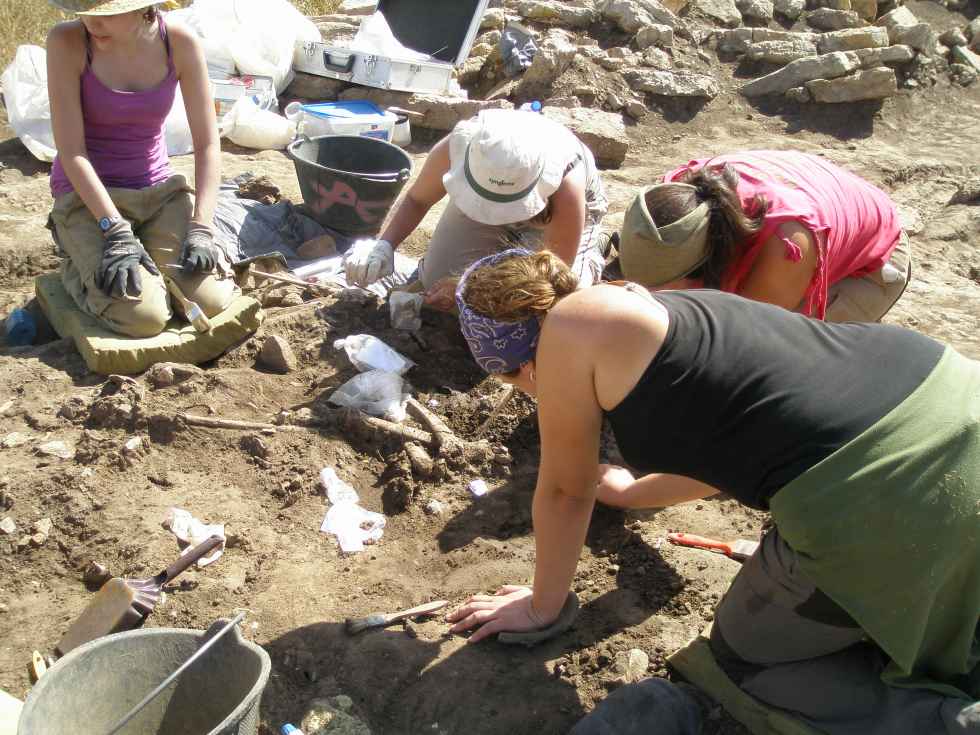 Contratado el mantenimiento en Uxama y Numancia