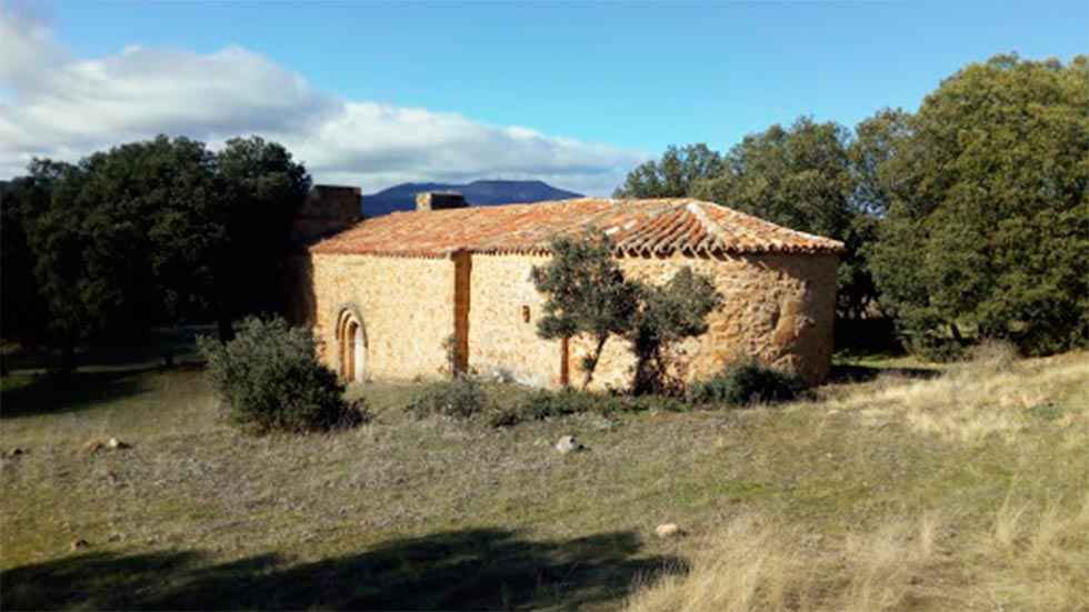 Los árboles más emblemáticos, en ruta en Ólvega Los árboles más emblemáticos, en ruta en Ólvega