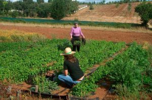 Contratación de 300 mujeres del medio rural