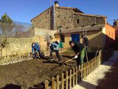 Asovica forma en labores de horticultura ecológica