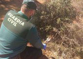 Investigación por delito de caza en Barcones Investigación por delito de caza en Barcones