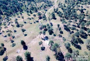 Rescatado un ciclista herido en pista forestal