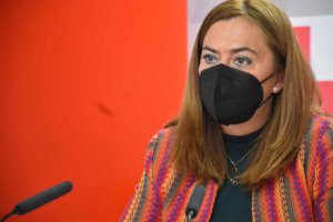 El PSOE reclama refuerzo de personal y material sanitarios