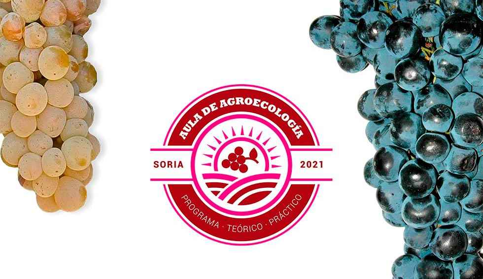 Jornadas sobre producción ecológica en viticultura Jornadas sobre producción ecológica en viticultura