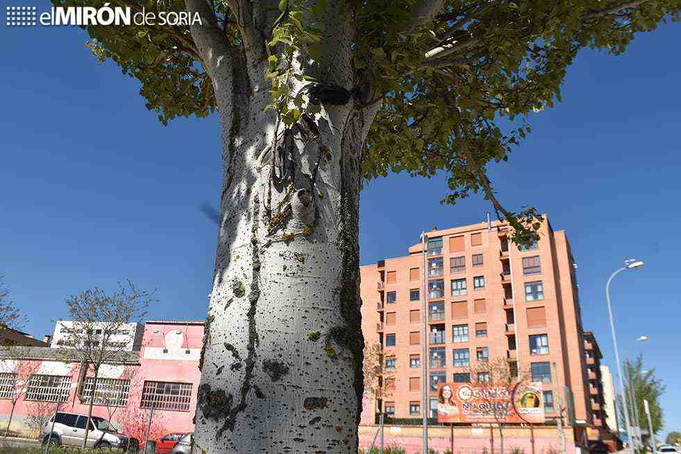 La pandemia no trae más pisos asequibles