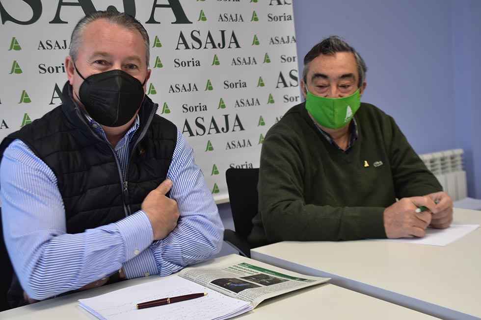 Asaja avanza "perspectivas aceptables" en cosecha ceralista Asaja avanza "perspectivas aceptables" en cosecha ceralista