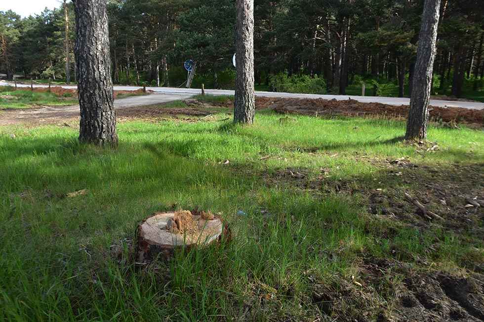 Arreglo del carril-bici en "El Pinarcillo" - fotos