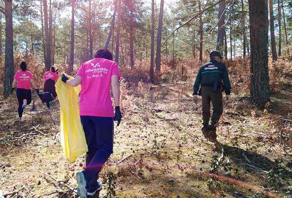 Nuevas acciones de voluntariado en el Aula del Bosque Nuevas acciones de voluntariado en el Aula del Bosque