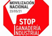 Podemos respalda movilizacion contra ganaderia industrial