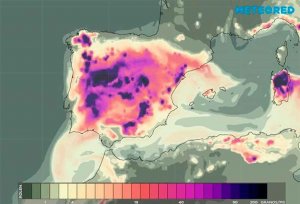 Tiempos difíciles para los alérgicos al polen