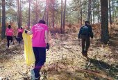 Nuevas acciones de voluntariado en el Aula del Bosque