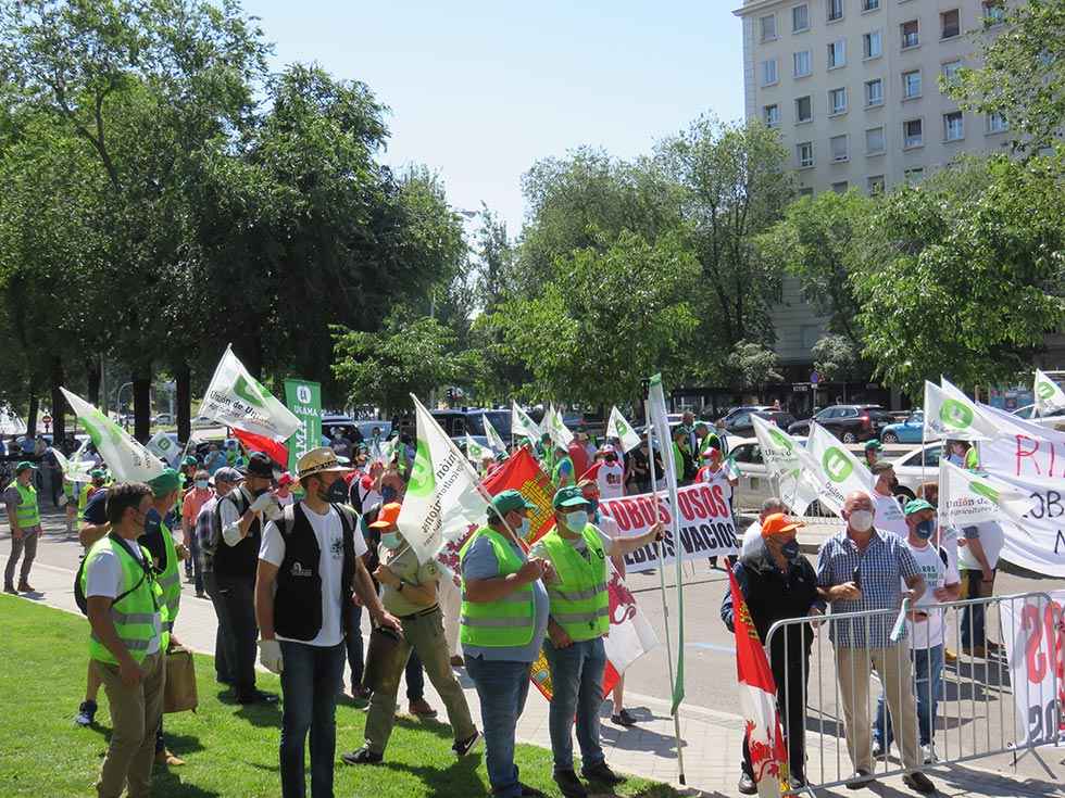 Alegaciones para retirar inclusión del lobo en LESPE