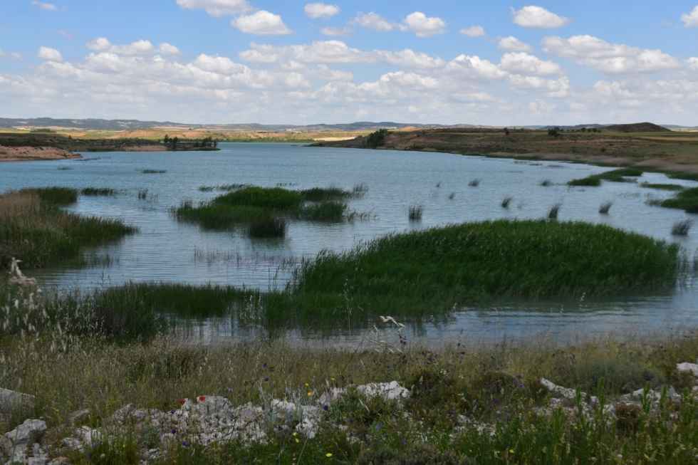Embalse de Monteagudo de las Vicarías - fotos