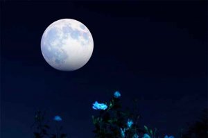 La última superluna del año