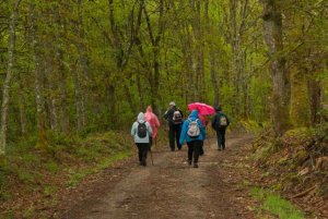 Mañueco sitúa al Camino de Santiago como símbolo de recuperación