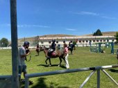 Se cierra con éxito el XXXIII Campeonato de España de Ponis