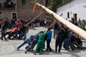 Molinos de Duero pinga el mayo