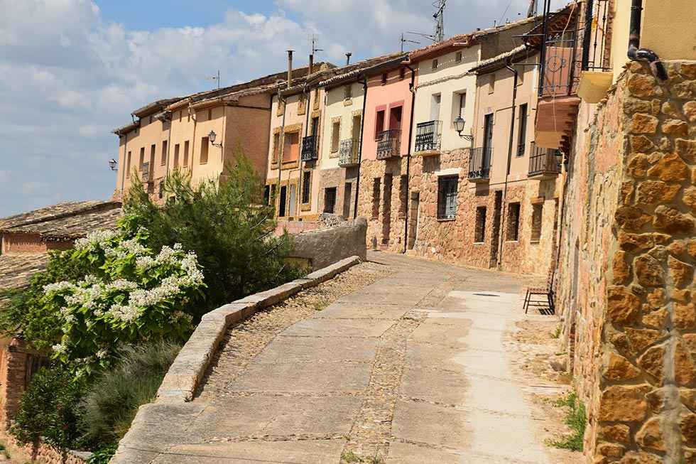 Visita a Monteagudo de las Vicarías - fotos