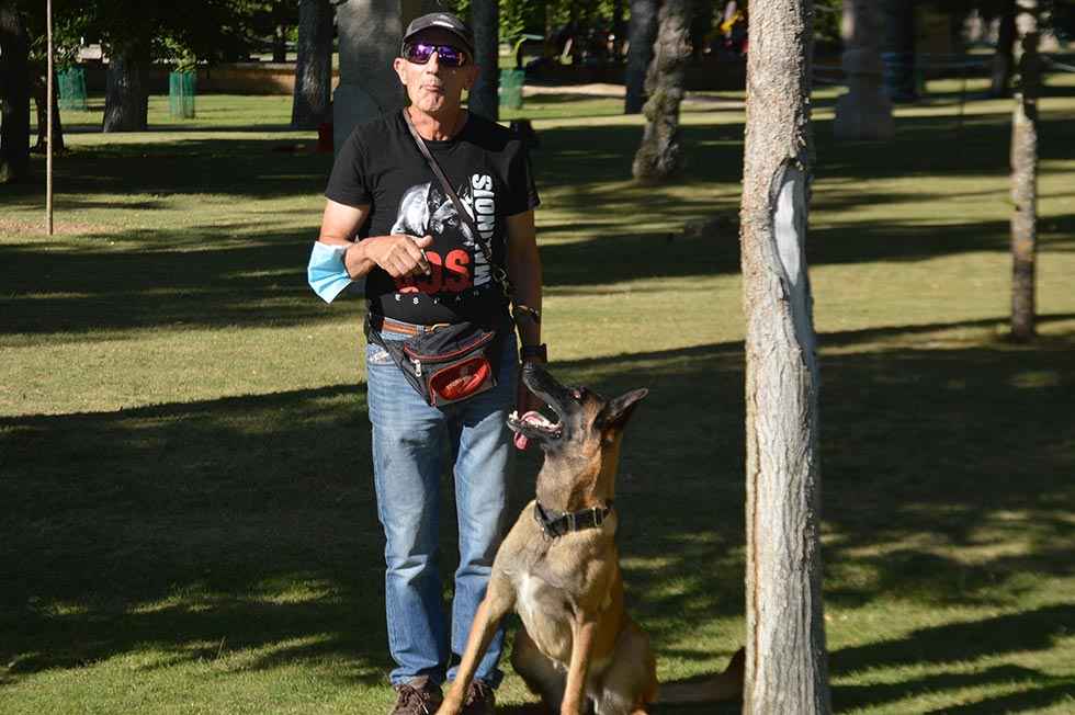 Malinois Ondra, campeón de obediencia deportiva - fotos