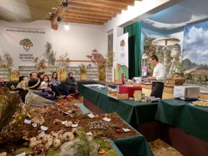 Montes de Soria divulga este verano la micología