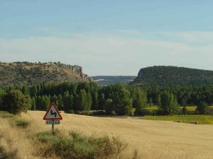 Ejemplar colaboración en Andaluz para apagar incendio