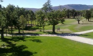 Primer torneo de golf "Mercado Municipal"