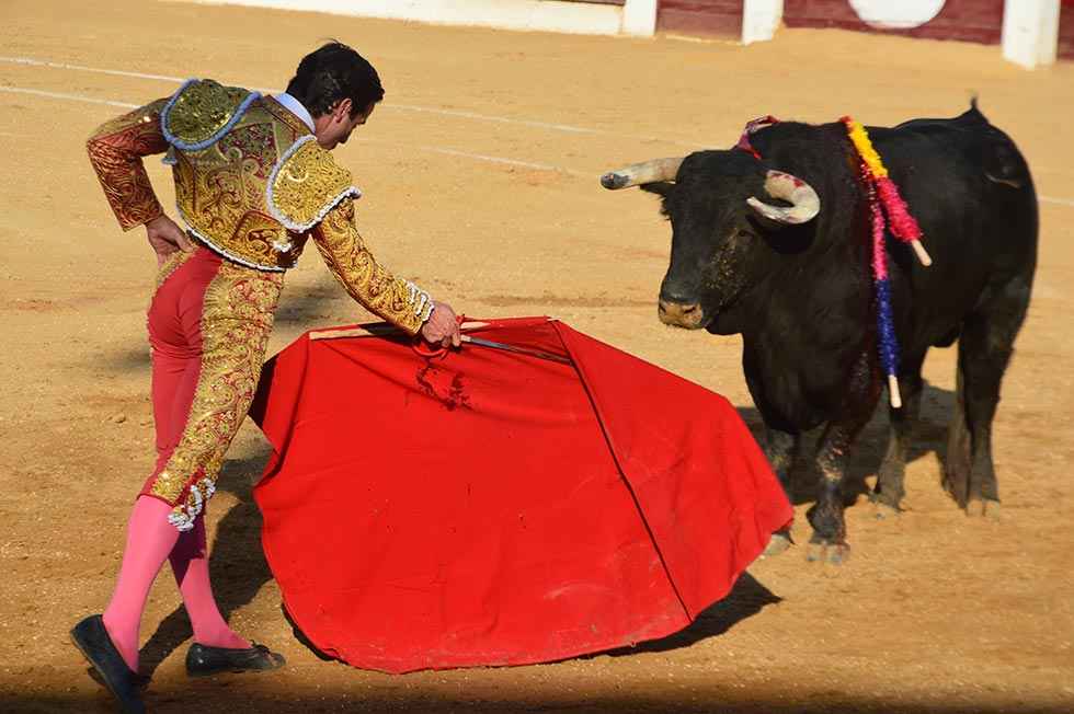 Tarde de toros en Almazán - fotos