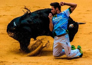 Concurso de recortadores en El Burgo