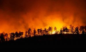 Casi 5.500 incendios en medio año de 2021