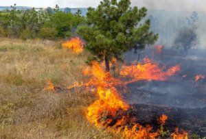 Declarada alerta de riesgo de incendios forestales 