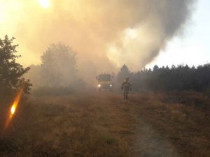 Riesgo de incendios forestales por la ola de calor