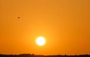 Fin de la alerta por la ola de calor