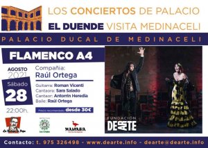 Espectáculo flamenco de Raúl Ortega A4