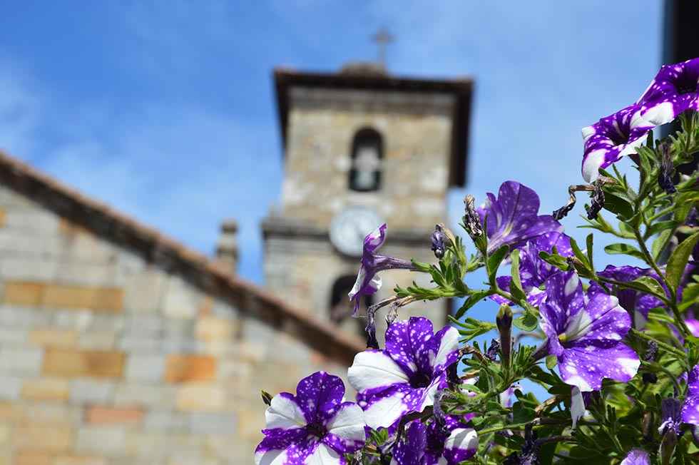 Visita a San Leonardo de Yagüe - fotos