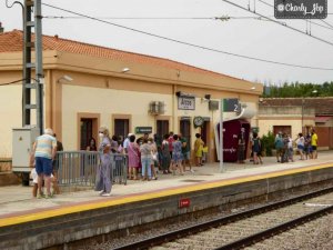Concentración para defender tren en Alto Jalón