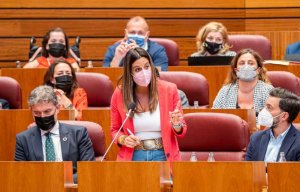El PSOE censura "desidia" de Junta en residencias