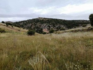 TRIBUNA / La reconquista del Cerro