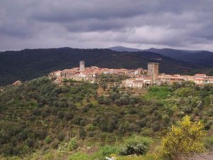 Salamanca acoge el primer parque micológico